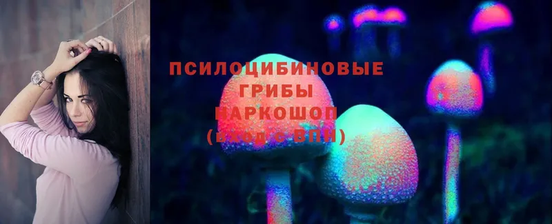 Псилоцибиновые грибы Psilocybine cubensis  цены   Омск 